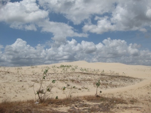 Dunes of Cumbuco